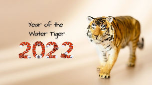 Flying Star for 2022, the Year of the Water Tiger
