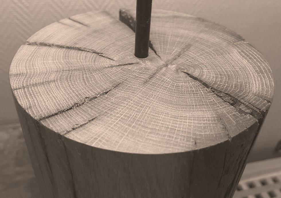 WhatsApp Image 2026-02-01 at 18_edited.jpg