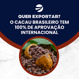 Quer exportar? o cacau brasileiro tem 100% de aprovação internacional!