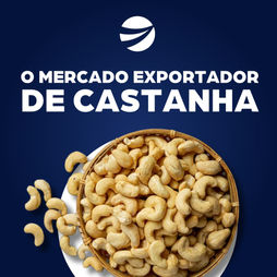 Descubra o potencial de expansão no mercado global de castanhas!