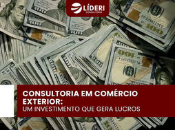 Consultoria em Comércio Exterior: Um Investimento que Gera Lucros