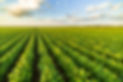 AdobeStock_206332986.jpeg