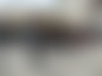 Síneken érkezett a múlt – Mi is ott voltunk a Szent Korona fogadásán