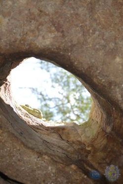 Portal - SERRA DA IBIAPABA - Turismo