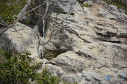 Portal - SERRA DA IBIAPABA - Turismo