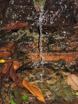 Portal - SERRA DA IBIAPABA - Turismo
