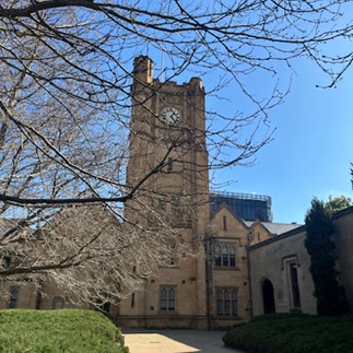 墨爾本大學