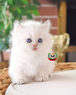 A94986FF-DBD7-4B5B-ADFE-4223CE2CFFBD