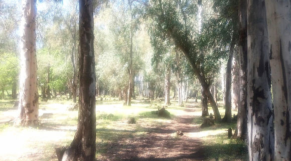 Valle Natural Río Grande