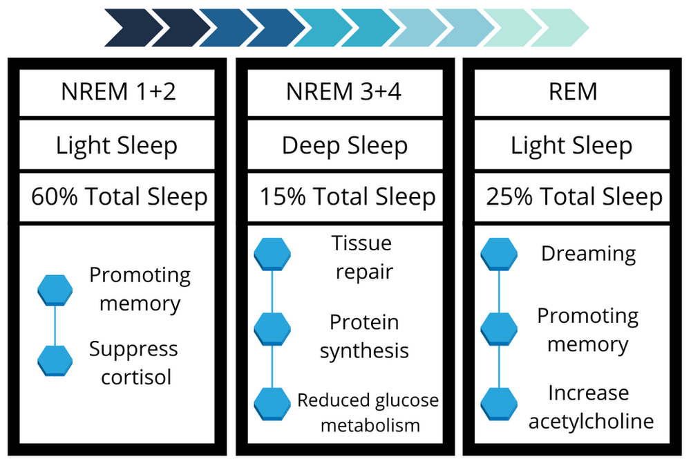 Sleep Is Kind Of A Big Deal