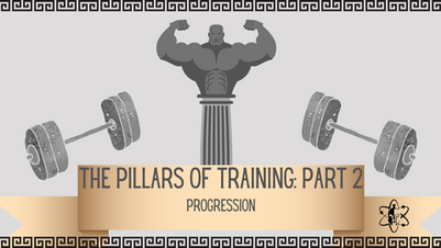 The Pillars of Training: Part 2