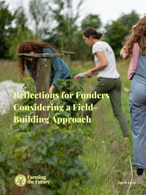 Reflections for Funders Considering a Field-Building Approach