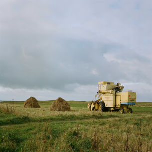 Movement Listening & Signposting 2025