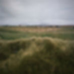 WFTF - Scotland--2.jpg