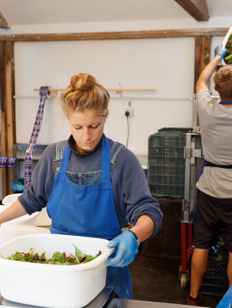 Advice for Funders of UK Food and Farming 2025