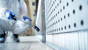 A pest control pro sprays the corners of a home