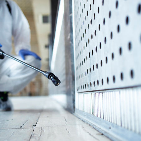 A pest control pro sprays the corners of a home
