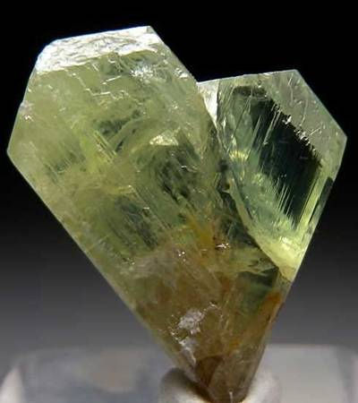 cberyl 4.jpg