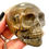 Thumbnail: Picture Jasper Skull
