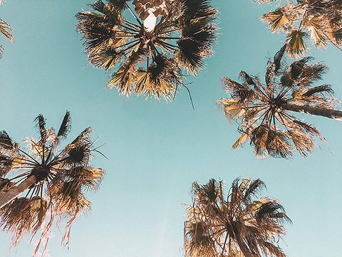 don’t forget to look up and admire the v