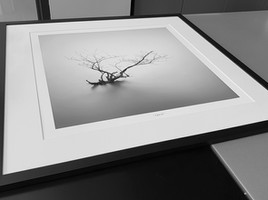 20201102_131102e2.jpg