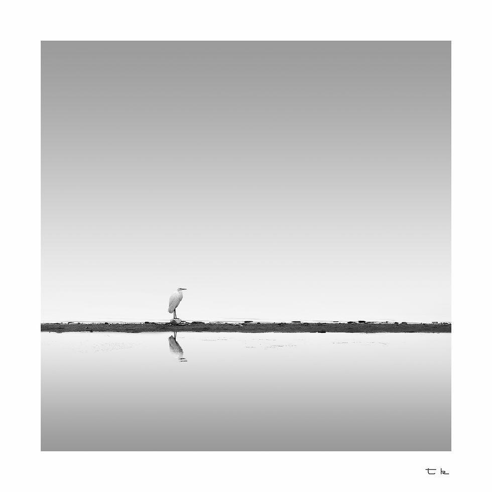 loneliness on thin land