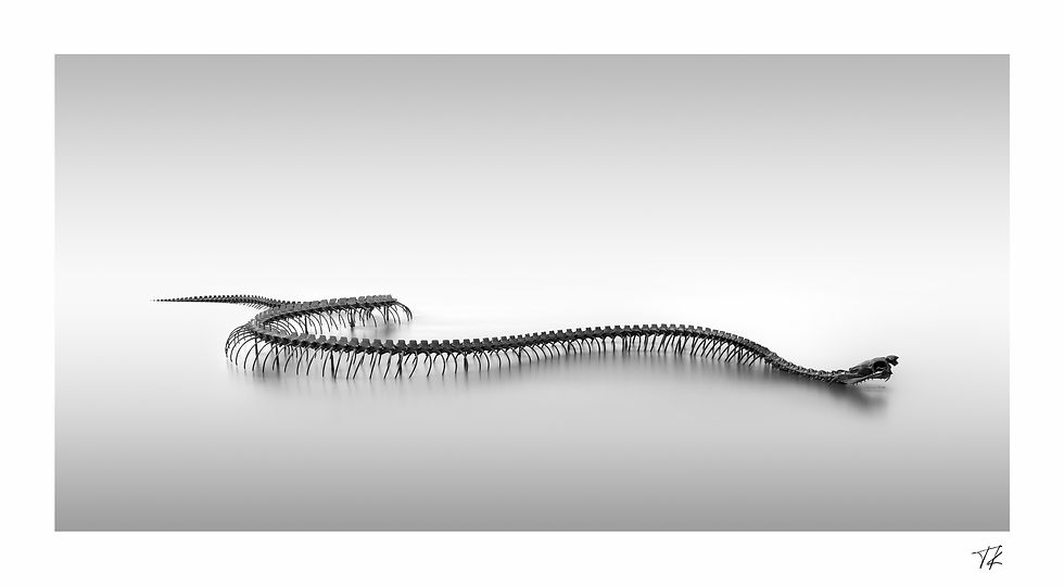 Pays de la Loire v. III