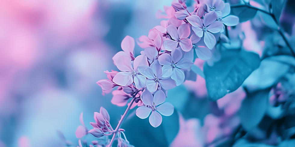 Purple flowers in close-up with soft focus are surrounded by lush green leaves. The background is a dreamy blend of pink and blue hues.