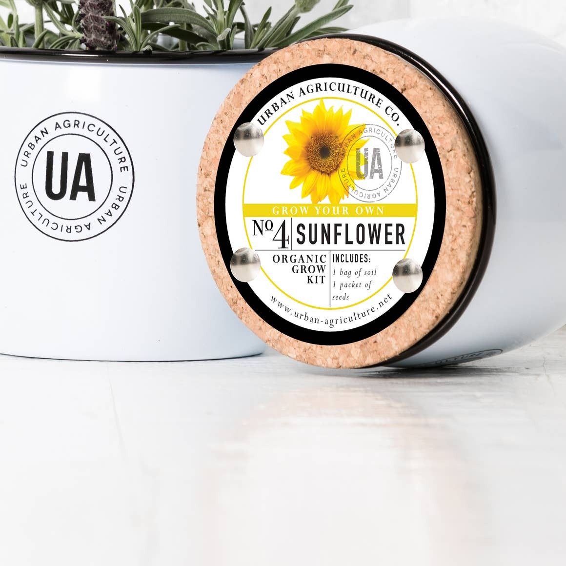 Sunflower Enamel Grow Kit
