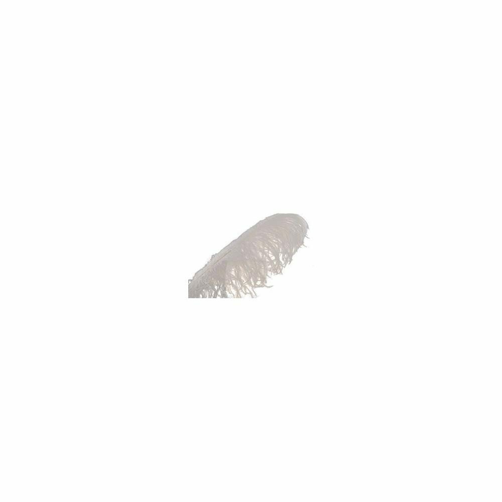 White Ostrich Plume
