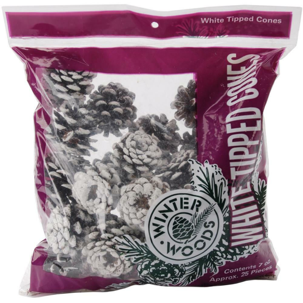 White Tipped Pine Cones