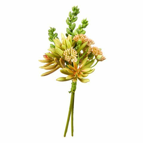 Succulant Bundle- Brown/Pink/Green 7 inch