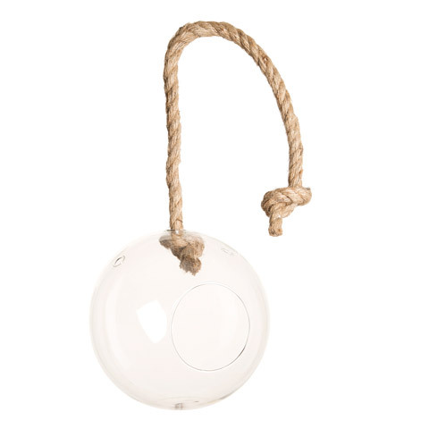 Round Hanging Terrarium with Rope 7 inch