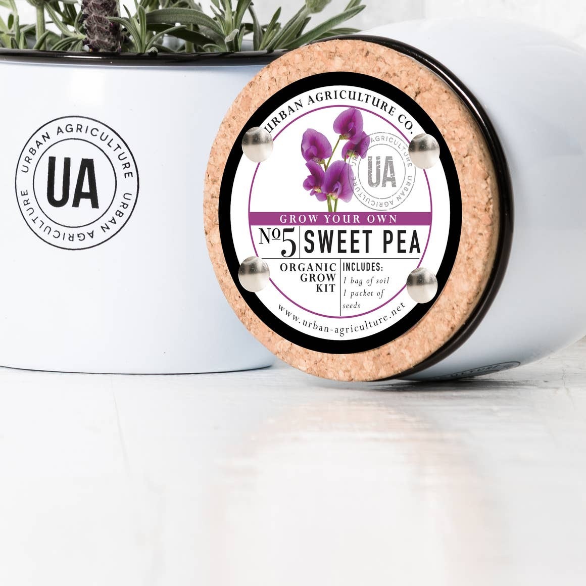 Sweet Pea Enamel Grow Kit