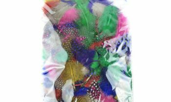 Dyed Guinea Feather