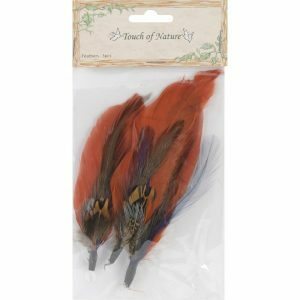 Cin/Bl/Mss Feather Pick