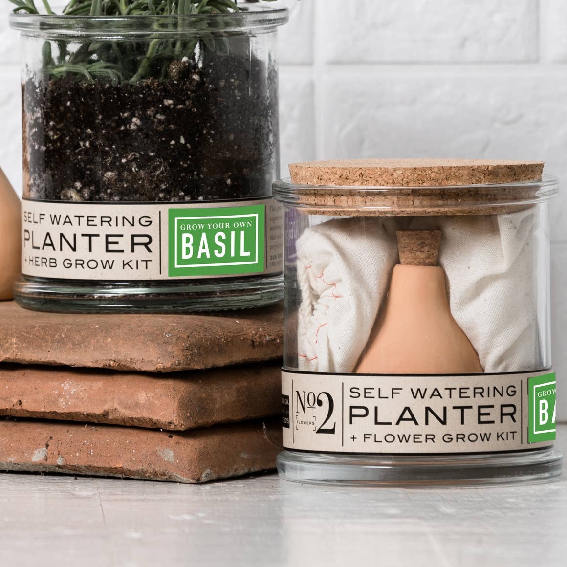 Basil Self-Watering Grow Kit