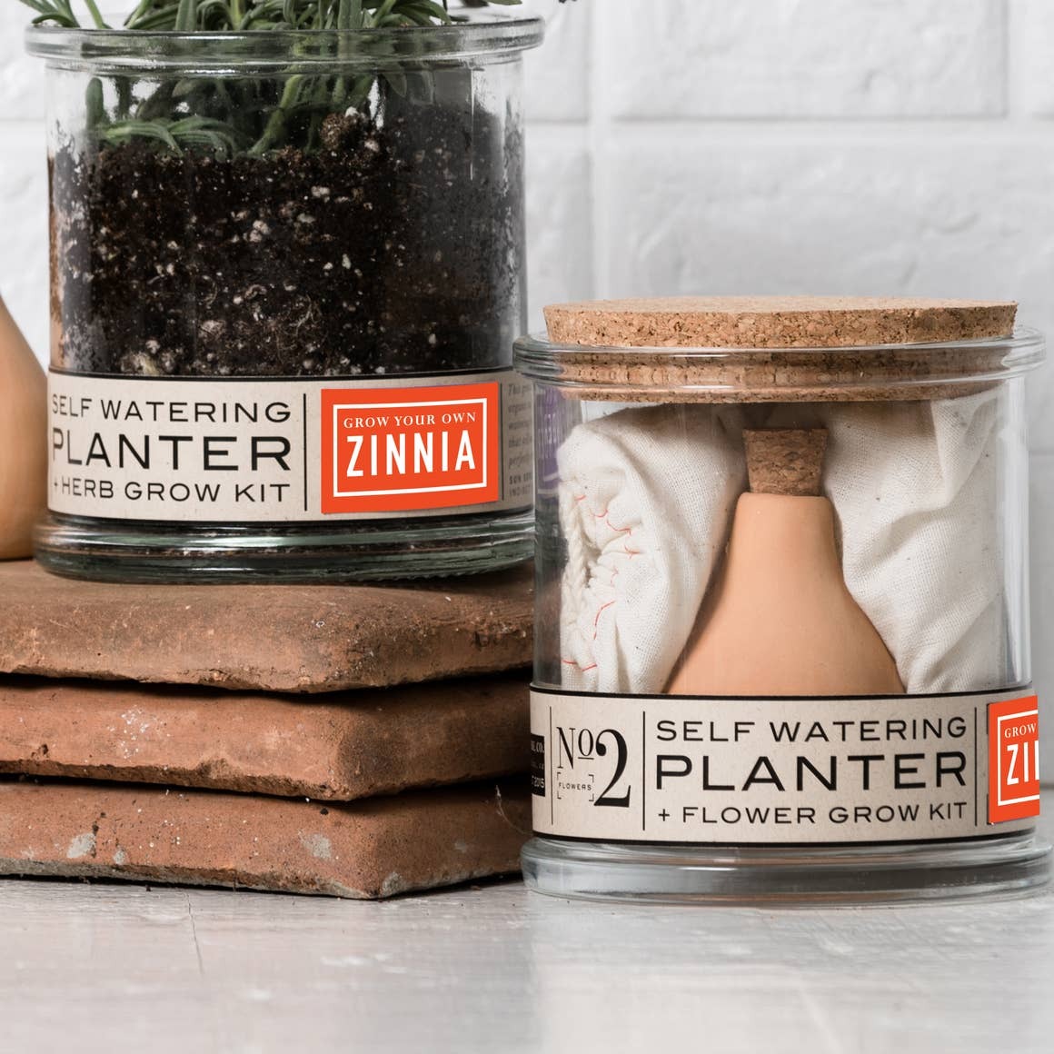Zinnia Self-Watering Grow Kit