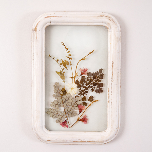 Botanical Wall Decor