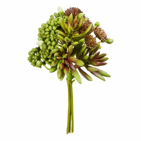 Succulant Bundle Green/Brown 7 inch