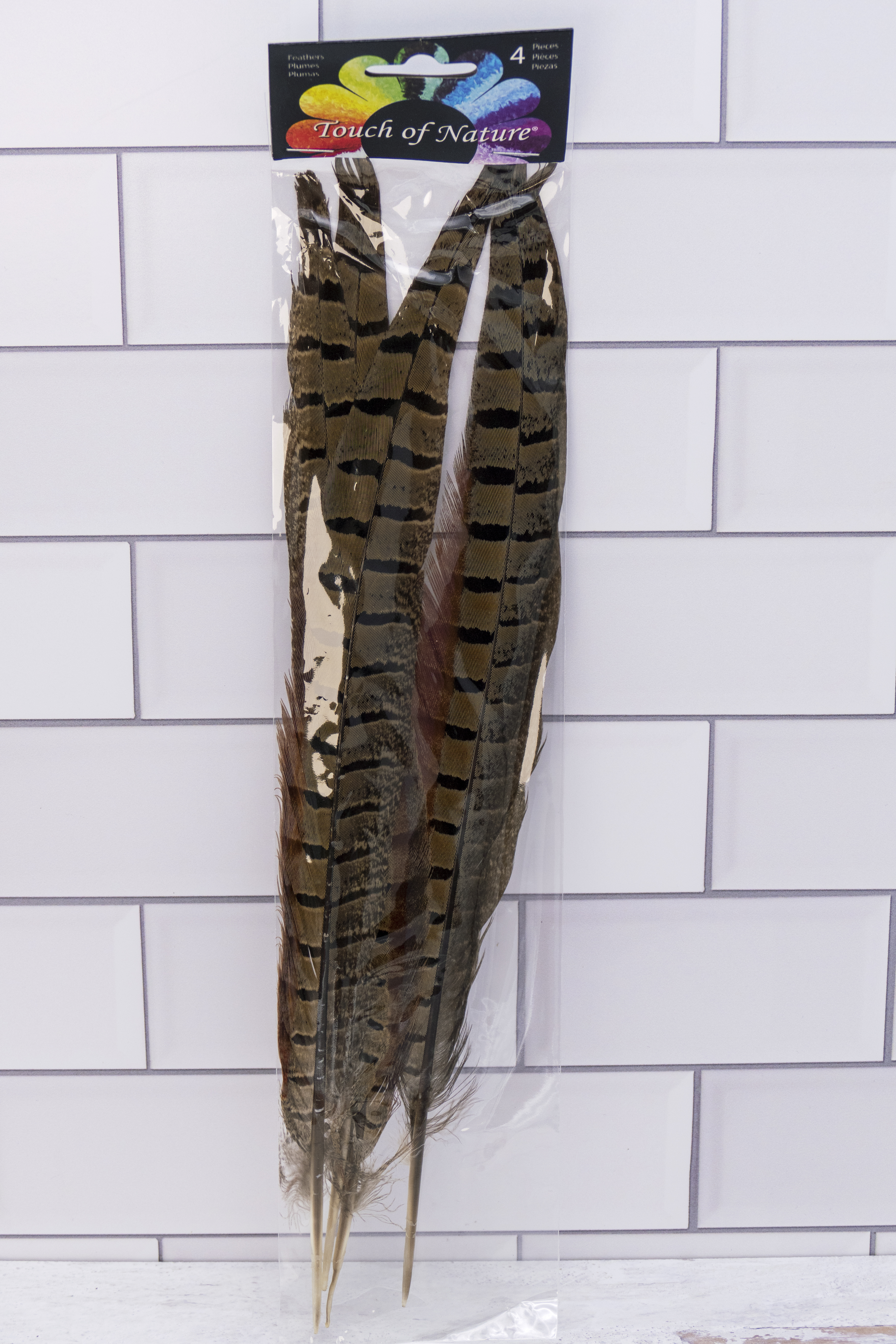 Pheasant Feathers 4