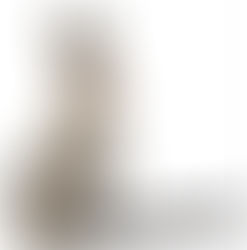 El burro hablando de orejas