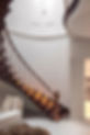 SoulforCity-weddings and events\bruiloft en foto shoots