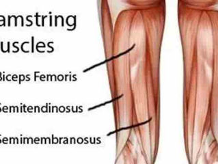 HAMSTRING STRAINS