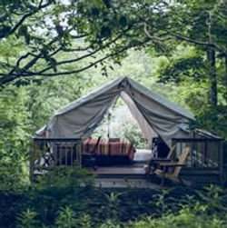 469062769_122116815122589474_2826460398644278571_n