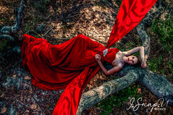 IMG_2376-Recovered 1