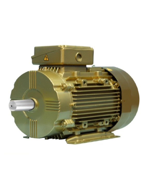 Crompton Apex IE3 Cast Iron 2HP 8 Pole Squirrel Cage Induction Motor withEnclose