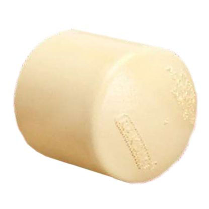 CPVC-End Cap