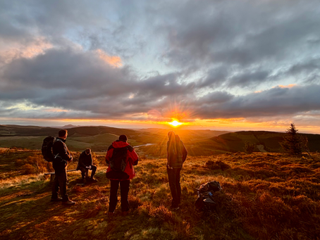 Basking in the early sunrise