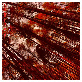 this world of plenty.jpg